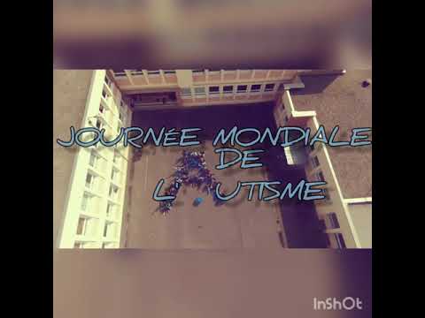 IMPro du chemin vert (Villeneuve d'Ascq) : Journée Mondiale de sensibilisation à l'autisme.