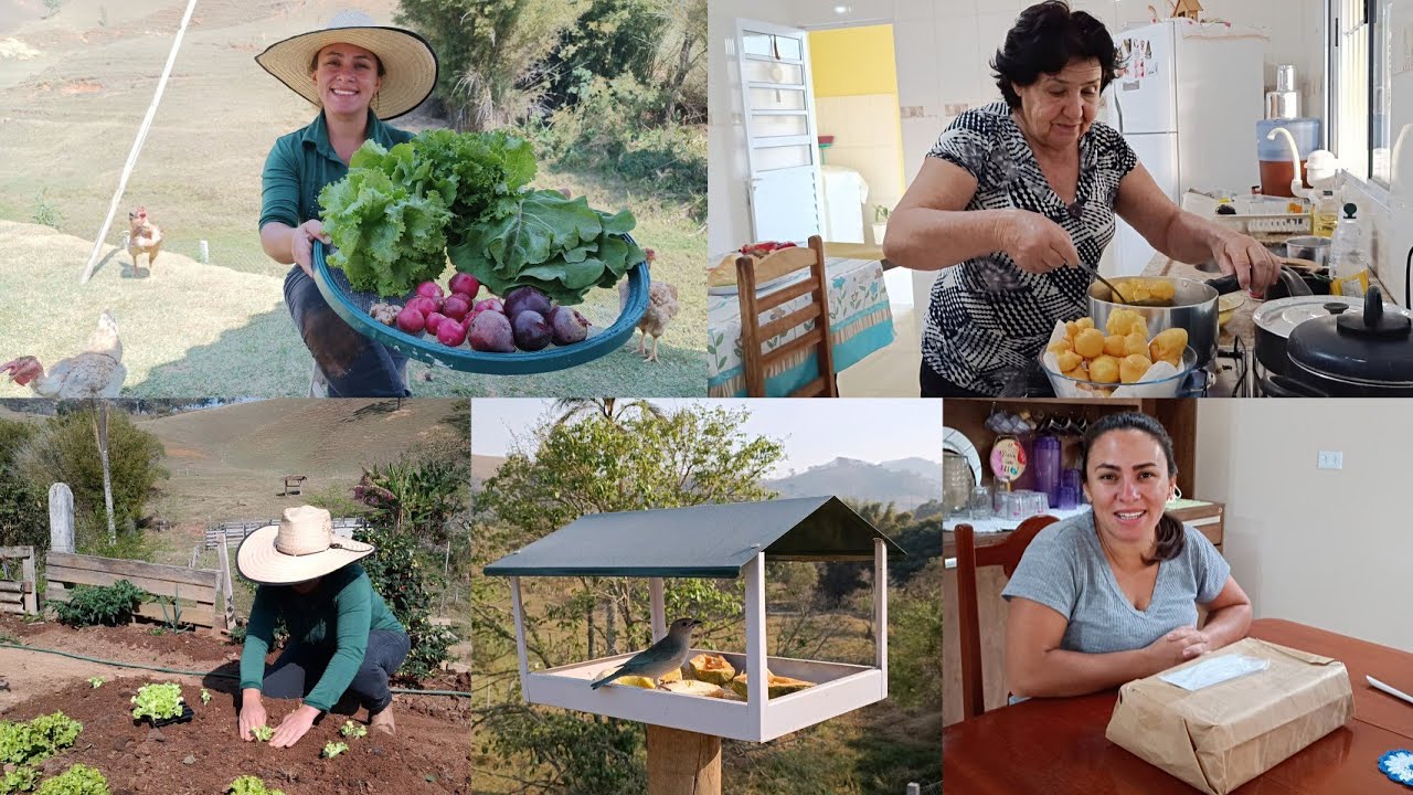 ROTINA NO COMPASSO DA ROÇA/PLANTEI MUDAS+FIZ COLHEITA+CAFÉ DA TARDE COM OS PAIS+RECEBIDO