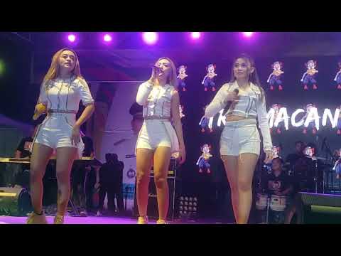 trio macan acara Lampung fair 2022