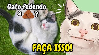 Tosa Higiência em Gatos | Mantenha Seu Gato Cheiroso MESMO QUE ELE NUNCA TENHA TOMADO BANHO NA VIDA!