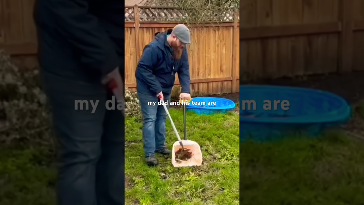 Single Video thumbnail