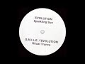 Evolution - Sparkling Sun