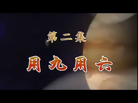 用九 易經