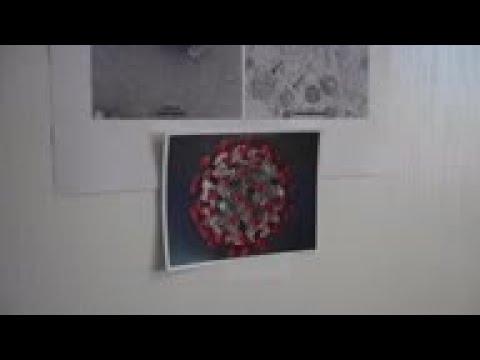 Analyst: Russian virus hacking signals weakness