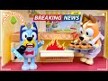 Bluey's News Show 😄 | Fun Play with Bluey Toys | Bunya Toy Town