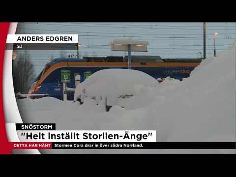 Stormen Cora: SJ och Trafikverket om trafikläget - Nyheterna (TV4)