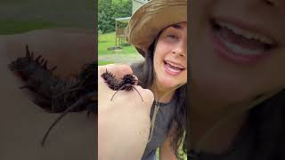 Channeling my Inner Steve Irwin 🤠 Nature Break with Mandy & Swallowtail 🐛