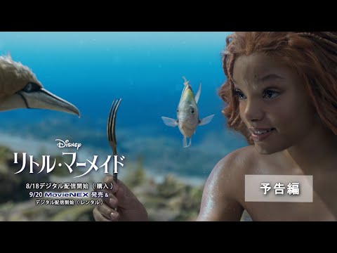 リトル・マーメイド（2023）の動画配信