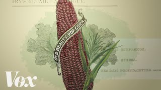 The race to save endangered foods