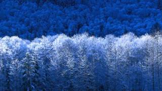 Julie Andrews - It Came Upon A Midnight Clear