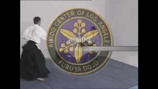 Instructional clip: Aikido Tanto Dori
