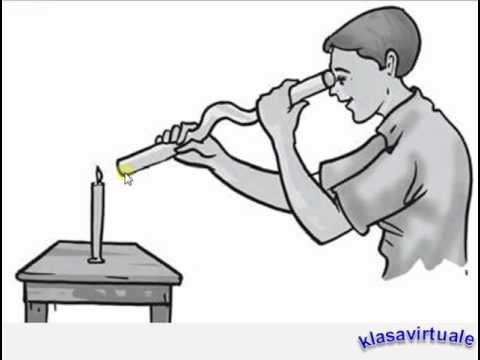 Mjedisi ku kalon drita.  Formimi i hijes.  Eklipsi i Hënës dhe i Diellit.