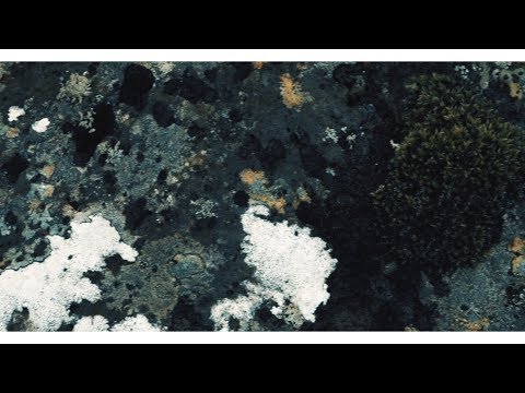 Illuminine - Inferences (Official Music Video)