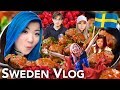 What Did We Do In Sweden