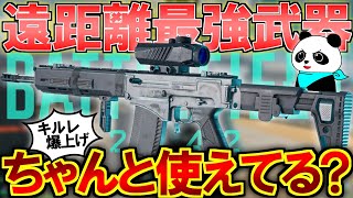 遠距離最強“SVK”のおすすめカスタムと注意点を解説します | BF2042