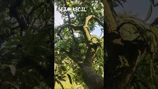 Download lagu Lirik Waktu - Bondan Prakoso | Story WA mp3