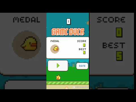 Floppy Bird Video