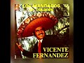 Ay Dolores - Vicente Fernández