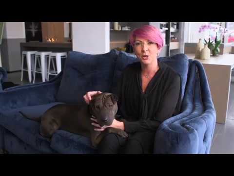 Pixelwave Creative Ltd video.