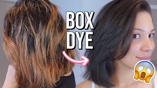 DYEING MY HAIR AT HOME! SAVE YOUR MONEY GIRL! How To Dye your hair like A Pro with Box Dye
