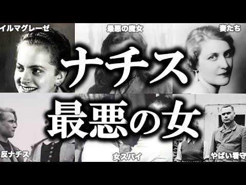 ドミニク・スタックマンが新しい「学士」に就任