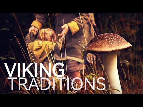 Viking Wilderness Expedition: Gathering Mushrooms with My Daughter