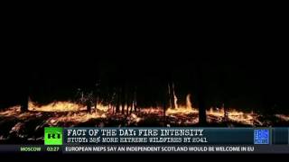 Why Forest Fire Intensity Will Increase