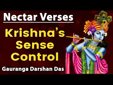 Krishna’s Sense Control | Nectar Verses SB 1.11.36 | Gauranga Darshan Das