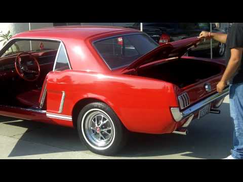 Klaus Borrmann 1964-1/2 Mustang "D-Code"