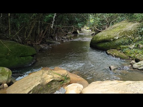 Sitio em Alfredo Wagner SC 11.5 hectares [ R$600.000] com cachoeira