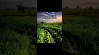 Download lagu Cerita Malin Kundang Dalam Bahasa Inggris mp3