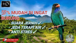 Download lagu TENGKEK BUTO | SUARA JERNIH MUDAH DI TIRUKAN BURUNG DENGAN JEDA TERAPI AIR mp3 Download lagu TENGKEK BUTO | SUARA JERNIH MUDAH DI TIRUKAN BURUNG DENGAN JEDA TERAPI AIR mp3