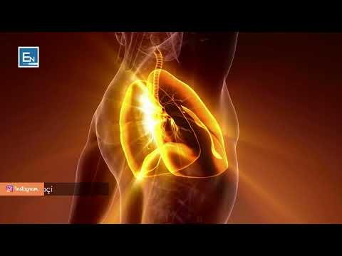 Dobite e agjerimit! Ndikimi i agjerimit ne trurin e njeriut, zvogelimin e stresit dhe hipertensionit