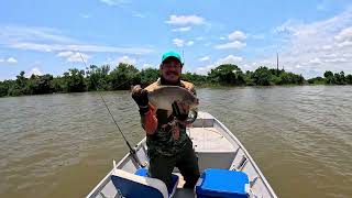 PESCANDO PIRAPITINGA NO RIO JACI EM RONDÔNIA. DIA 90.