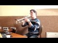 Accidentally in love | Trumpet 