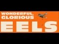 Eels - Open My Present