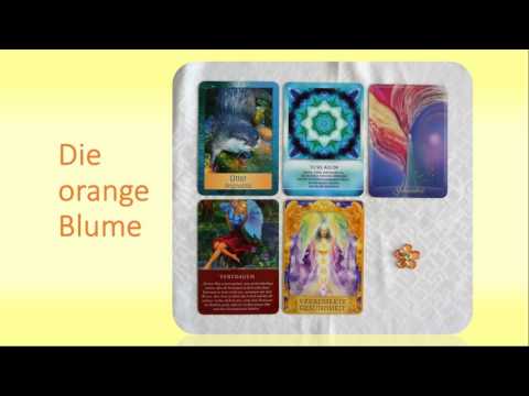 Orakel 23. Jänner bis 31. Jänner 2017