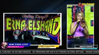 Download lagu KAWIN KARO WONG ARAB DJ - ERNA ELSHANDA mp3