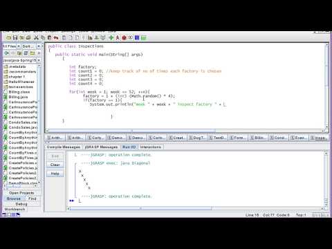 Java Programming 1 - Chapter 6 Exercise 11 Preview