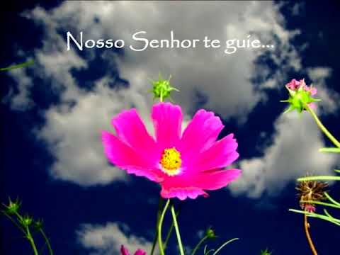 Prece de Amor Emmanuel adaptada e Cantada por Elizabete Lacerda