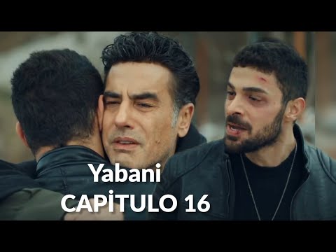 Yabani (Wild) Chapter 16 - Forgive me son.