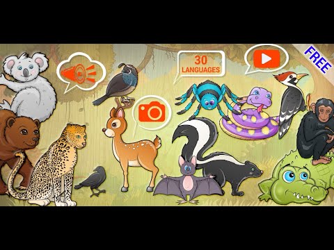 Kids puzzle games. Animal game Video
