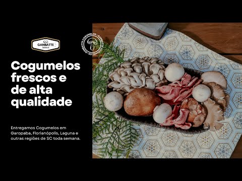 Ganbatte Cogumelos - Entregas em Garopaba, Florianópolis/SC