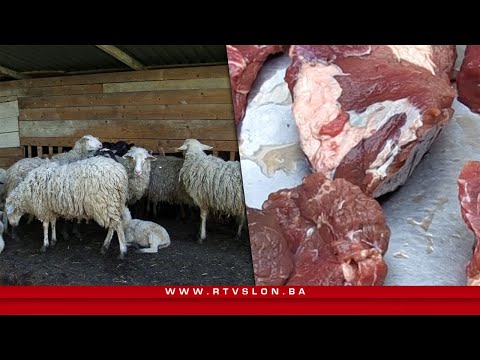 Propisi o kurbanu: Kada, kako i zašto je važno klati ispravno - 05.06.2025.