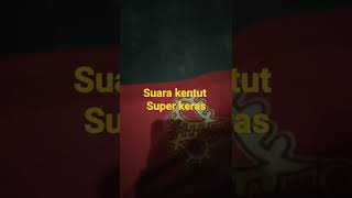 Download lagu Suara Kentut Super Keras mp3