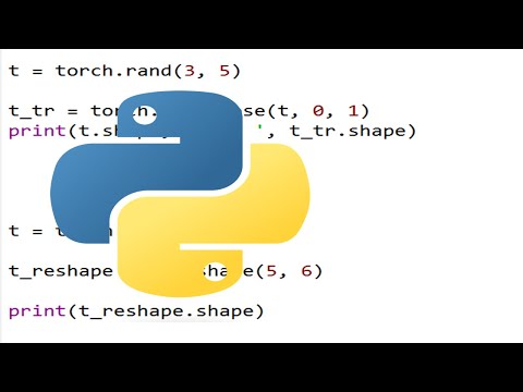 Easy Python Session 555