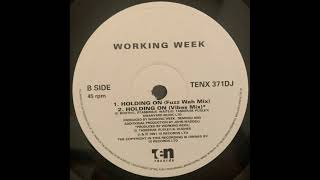 Working Week - Holding On (Vibes Mix)