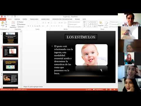 CLASES NEUROFISIOLOGÍA SENTIDOS QUÍMICOS