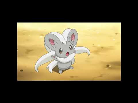 Cinccino Cry (Gen 6 And Onward)