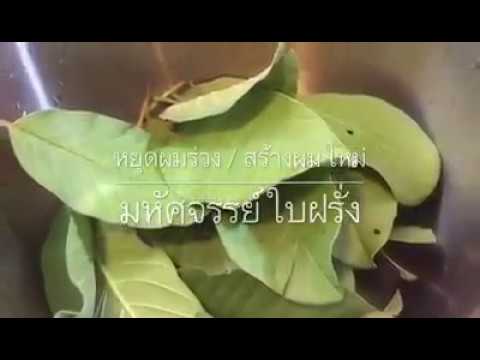กรดซาลิไซลิจัดอันดับโรคสะเก็ดเงิน อุณหภูมิกลากอาจเพิ่มขึ้น